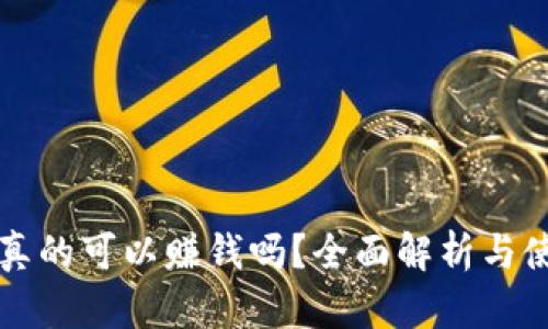 TP钱包真的可以赚钱吗?全面解析与使用指南