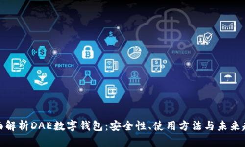 全面解析DAE数字钱包:安全性、使用方法与未来趋势