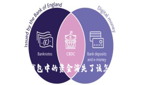 数字钱包中的资金消失了该怎么办?