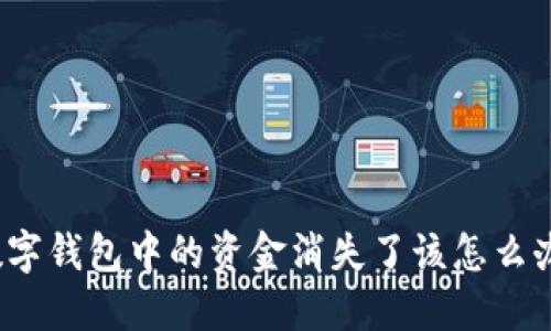 数字钱包中的资金消失了该怎么办?