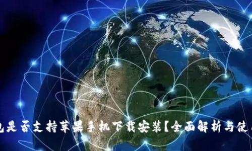 TP钱包是否支持苹果手机下载安装？全面解析与使用指南