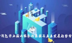 TP钱包停止国内服务的原因及未来发展趋势分析