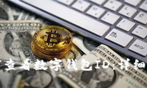 如何查看数字钱包ID:详细指南