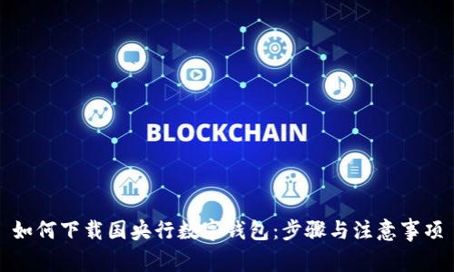 如何下载国央行数字钱包:步骤与注意事项