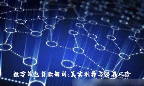 数字钱包贷款解析：真实利弊与潜在风险