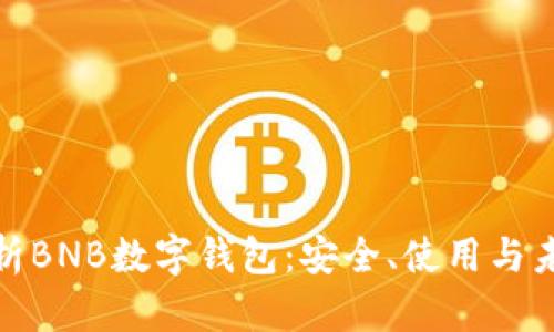 全面解析BNB数字钱包：安全、使用与未来趋势