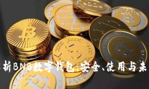 全面解析BNB数字钱包：安全、使用与未来趋势