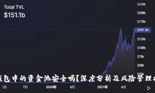 TP钱包中的资金池安全吗？深度分析及风险管理措施
