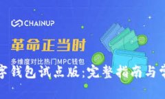 如何下载数字钱包试点版:完整指南与常见问题