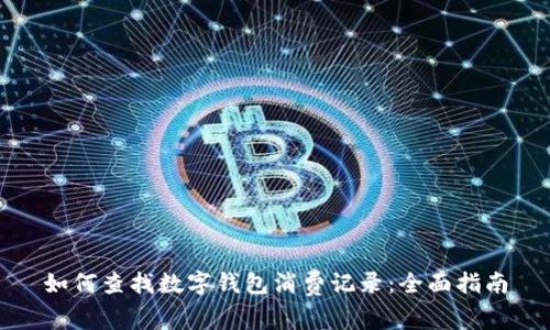 如何查找数字钱包消费记录:全面指南