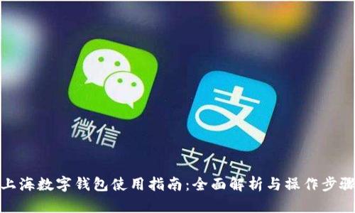 上海数字钱包使用指南:全面解析与操作步骤