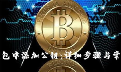 如何在TP钱包中添加公链:详细步骤与常见问题解答