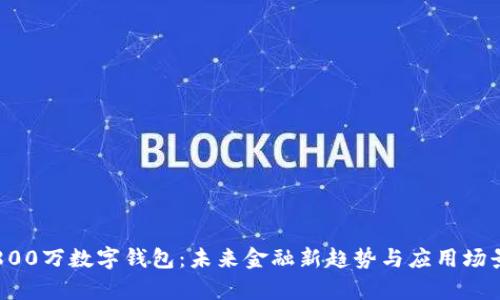 深圳800万数字钱包：未来金融新趋势与应用场景解析