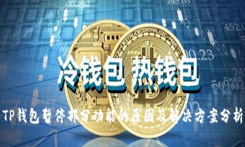 TP钱包暂停部分功能的原因及解决方案分析