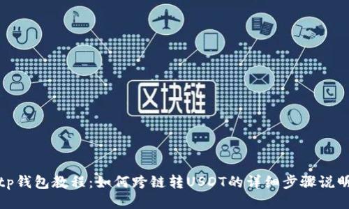 tp钱包教程:如何跨链转USDT的详细步骤说明