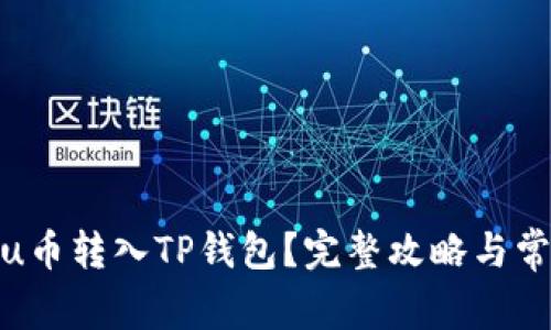 怎么将Kishu币转入TP钱包?完整攻略与常见问题解答