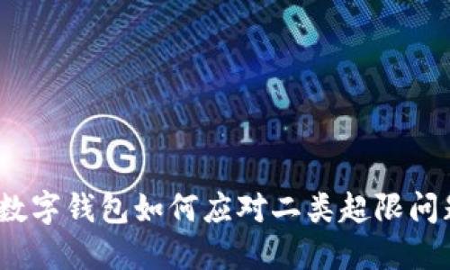 : 数字钱包如何应对二类超限问题?