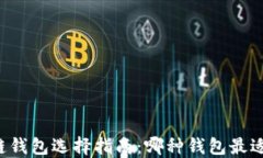 区块链钱包选择指南：哪种钱包最适合你？