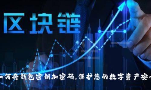 如何将钱包密钥加密码,保护您的数字资产安全