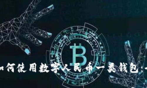 外国人如何使用数字人民币一类钱包:全面指南