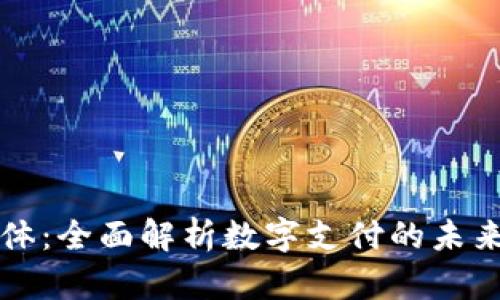 数字钱包载体：全面解析数字支付的未来趋势与应用