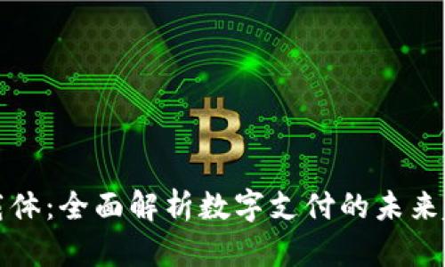 数字钱包载体：全面解析数字支付的未来趋势与应用