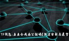 TP钱包:未来会成为公链吗?深度分析与展望