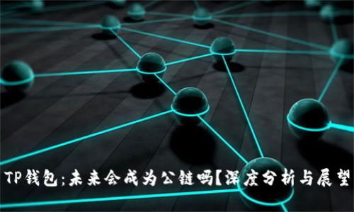TP钱包：未来会成为公链吗？深度分析与展望