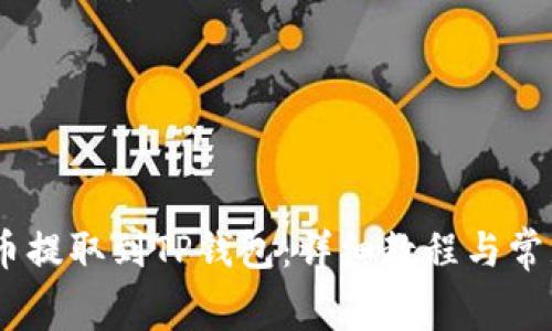 如何将Pig币提取到TP钱包:详细教程与常见问题解答