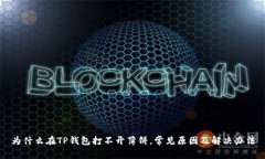 为什么在TP钱包打不开薄饼,常见原因及解决办法
