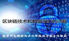数字钱包地址的大小写规则与安全性解析