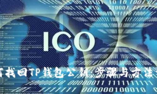 如何找回TP钱包公钥:步骤与方法详解