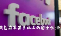 探讨TP钱包在苹果手机上的安全性:会被盗吗?