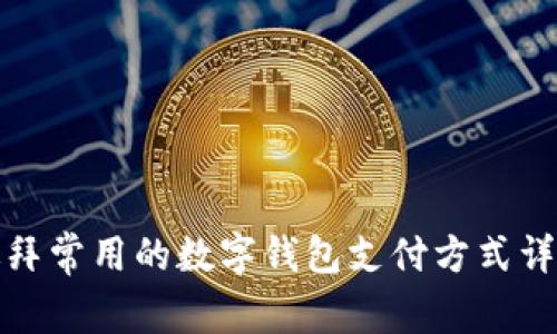 迪拜常用的数字钱包支付方式详解