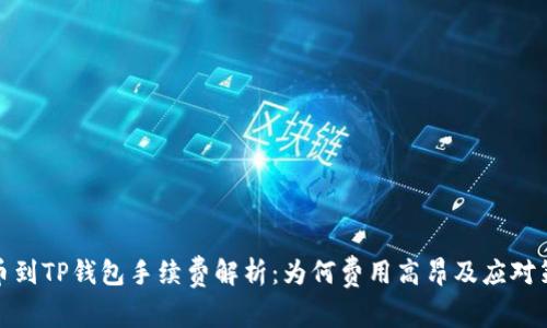 提币到TP钱包手续费解析:为何费用高昂及应对策略