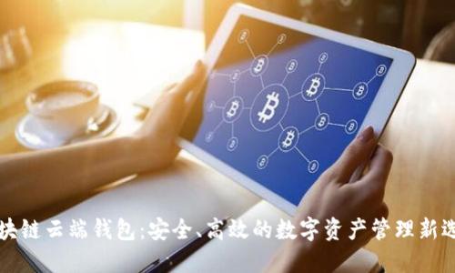 区块链云端钱包:安全、高效的数字资产管理新选择