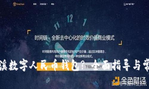 如何使用安溪数字人民币钱包? 全面指导与常见问题解答