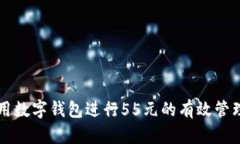 如何利用数字钱包进行55元的有效管理与使用