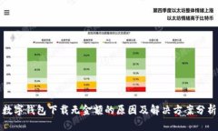 数字钱包下载无金额的原因及解决方案分析