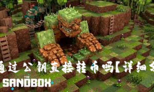 tp钱包能通过公钥直接转币吗?详细分析与指导