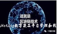 如何在Hotdog数字藏品平台管理和我的钱包