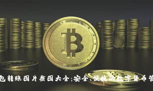 加密钱包转账图片截图大全:安全、便捷的数字货币管理指南
