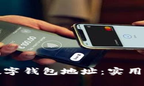 如何查询数字钱包地址:实用指南与技巧