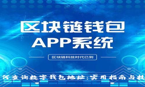 如何查询数字钱包地址:实用指南与技巧