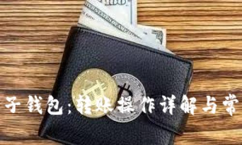 tp钱包与麦子钱包：转账操作详解与常见问题解答