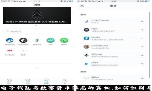 
揭开电子钱包与数字货币骗局的真相：如何识别与防范