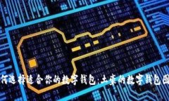 如何选择适合你的数字钱包:土豪的数字钱包图