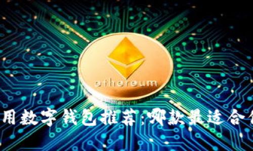 通用数字钱包推荐:哪款最适合你?