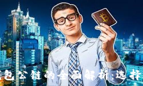 加密货币钱包公链的全面解析:选择与使用指南