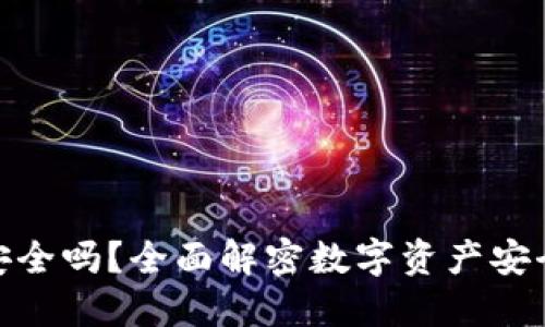 数字币钱包安全吗?全面解密数字资产安全与保护措施